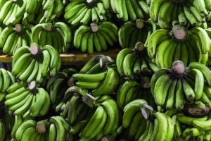 Banane de Guadeloupe- dossier environnement 