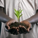 shutterstock_160031690