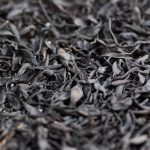 shutterstock_240346702