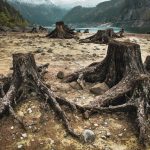 shutterstock_284015750