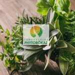 phytobokaz