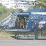 Sécurité routière