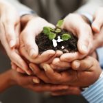 leconomie-solidaire-leconomie-novatrice