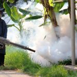 Zika, fin de l’épidémie ?