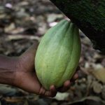 Naomi MARTINO, magicienne du goût