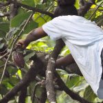 Naomi MARTINO, magicienne du goût
