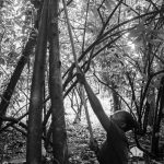 Naomi MARTINO, magicienne du goût