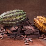 Naomi MARTINO, magicienne du goût