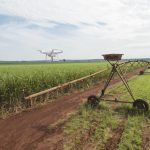 Un drone au service de l’agriculture guadeloupéenne