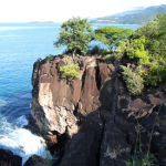 Le film d’animation « Minuscule 2» en tournage en Guadeloupe