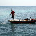 Pêche illicite, contrôles et saisies en Guadeloupe