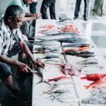 Ciguatera, un danger pour la consommation des poissons