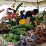 Création d’un grand marché agricole à Baie-Mahault