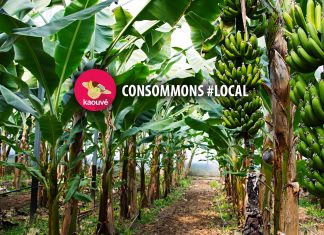 KAOUVÉ, La plateforme des producteurs agricoles locaux