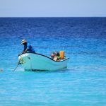 Pêche aux oursins blancs – réservée aux marins-pêcheurs professionnels (2)