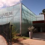 Aquarium de Guadeloupe un espace à découvrir (4)