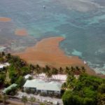 11831758_729257457201119_8719996716284128467_n