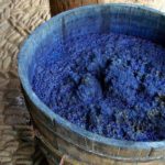 Le Musée Schœlcher à la rencontre de la population marie-galantaise (2)