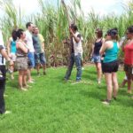 Rénovation  Beauport « Pays de la Canne » pour une nouvelle dynamique (10)