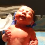 Zika, les études des chercheurs guadeloupéens reconnus mondialement