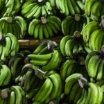 Environnement Guadeloupe, tour d’horizon