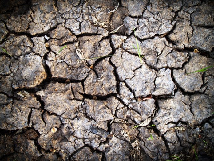 Une terre aride à cause de la sécheresse