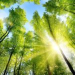 Le 1er village de l’économie circulaire va avoir lieu (1)