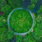 Le 1er village de l’économie circulaire va avoir lieu