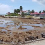 Opération ramassage pour le RSMA à Marie-Galante (6)