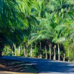 1 juillet 2018, abaissement de la vitesse à 80 kmh