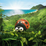 Minuscule 2, les premières images tournées en Guadeloupe (9)