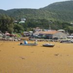 Sargasses, des mesures annoncées pour un ramassage en 48h (3)