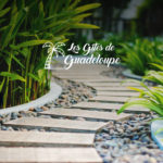 Les gîtes de Guadeloupe