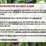 La ville du Lamentin célébrait le Fruit à Pain