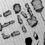 END Route End Ki-oon Guadeloupe Actu