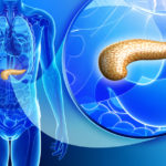 pancreas