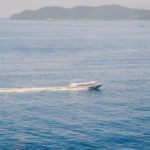 Expérimentions du bus de mer en agglomération pointoise