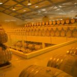 Caraïbes Factory le tourisme guadeloupéen autrement