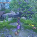 DRAGON QUEST XI : Les Combattants de la destinée_20181114202609