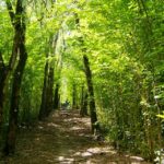 Guadeloupe, un archipel aux multiples richesses (3)