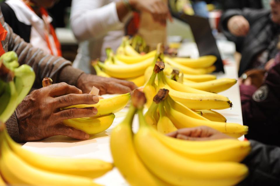 À l'export, le marché de la banane passe au jaune
