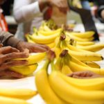 La Nouvelle Banane des Antilles dans les supermarchés (2)