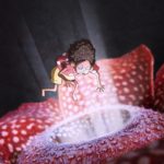 Vanille un film d’animation réalisé par Guillaume Lorin (2)