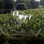 agriculture de précision