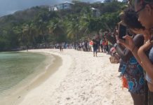 La convoitise des littoraux Antillais