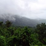 Retour sur le conflit qui oppose le Syndicat agricole de Cadet Sainte-Rose à l’ONF