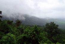 Retour sur le conflit qui oppose le Syndicat agricole de Cadet Sainte-Rose à l’ONF