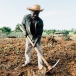 Découvrez les cartes actualisées des zones contaminées par la chlordécone (2)