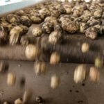 Lizin’santral au service de la croissance verte guadeloupéenne