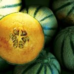 Le melon de Guadeloupe en danger